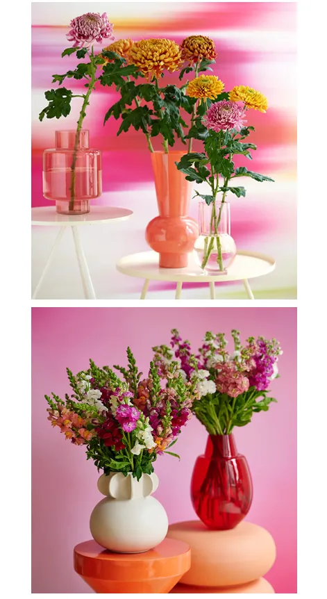 primalabel-blooming-brands-sevenhill-flowers-photography 2026